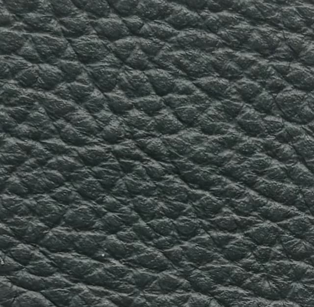 Skóra Dollaro - Avio 195