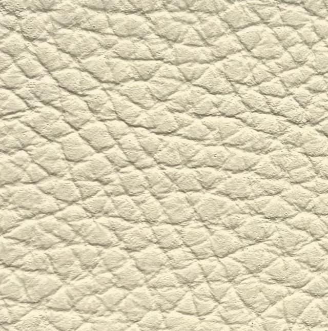 Skóra Dollaro - Beige 02