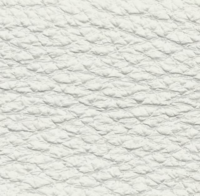 Skóra Dollaro - Bianco 01