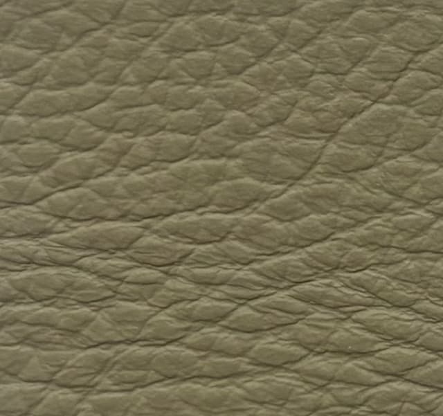 Skóra Dollaro - Olivia 06