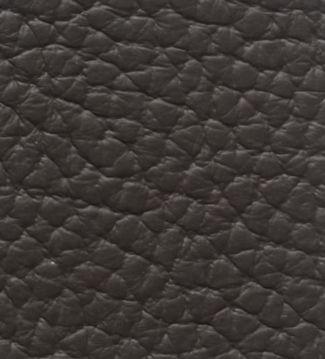 Skóra Dollaro - Tmoro 100