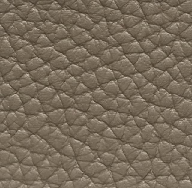 Skóra Dollaro - Tortora 05