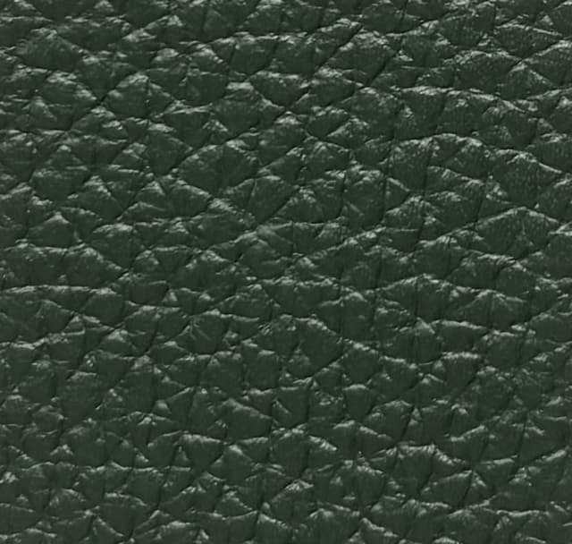 Skóra Dollaro - Verde 14