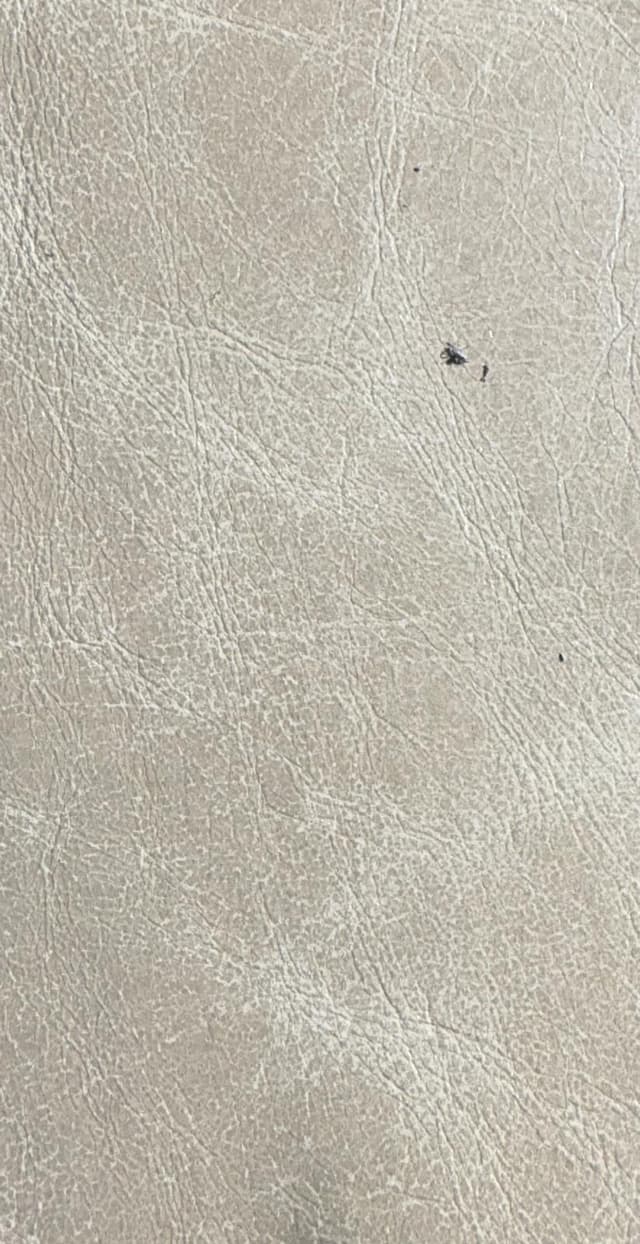 Skóra Forever - Corda